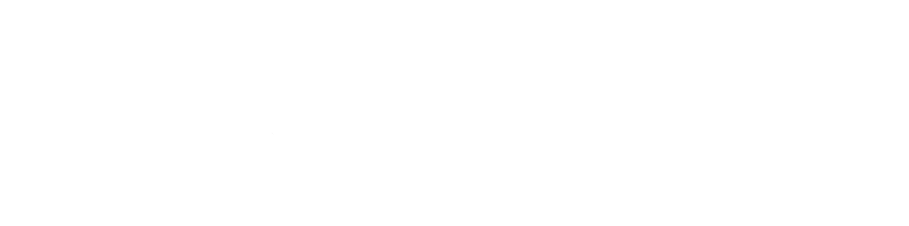 Logo Bentley Continental Flying Star
